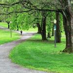 Wright Park