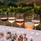 Domaine Carneros