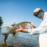 Cancun Tarpon Fishing