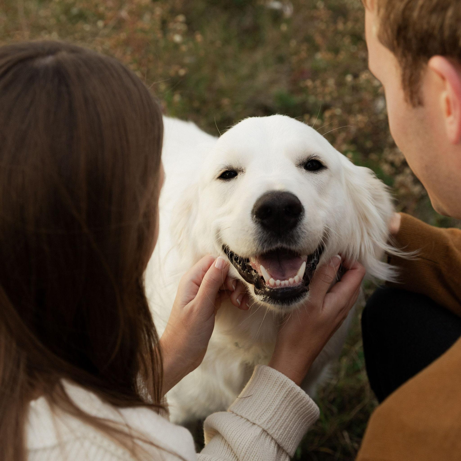Engagement Photos 2025