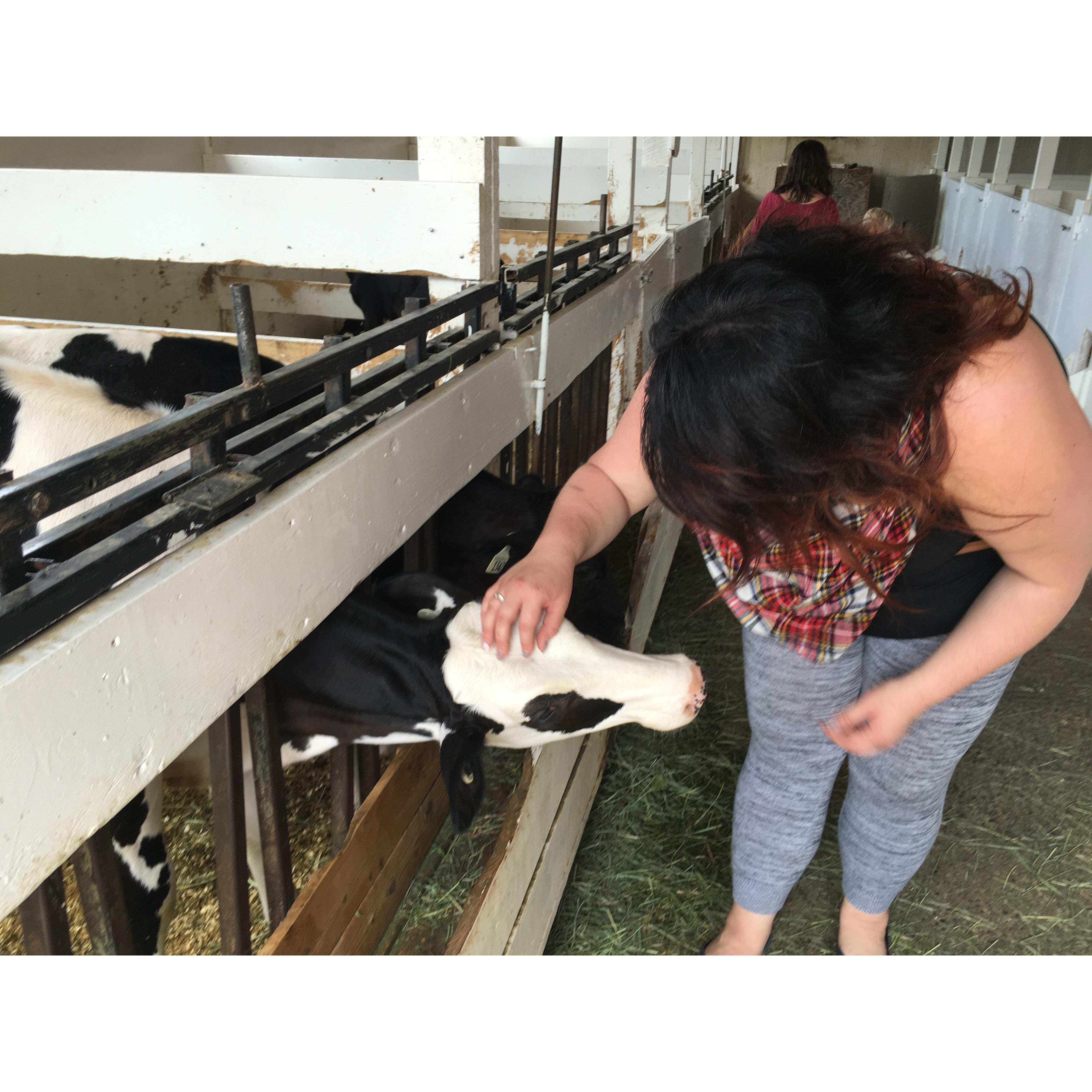 We took a road trip and Janel's biggest wish was to interact with baby farm animals - MISSION ACCOMPLISHED