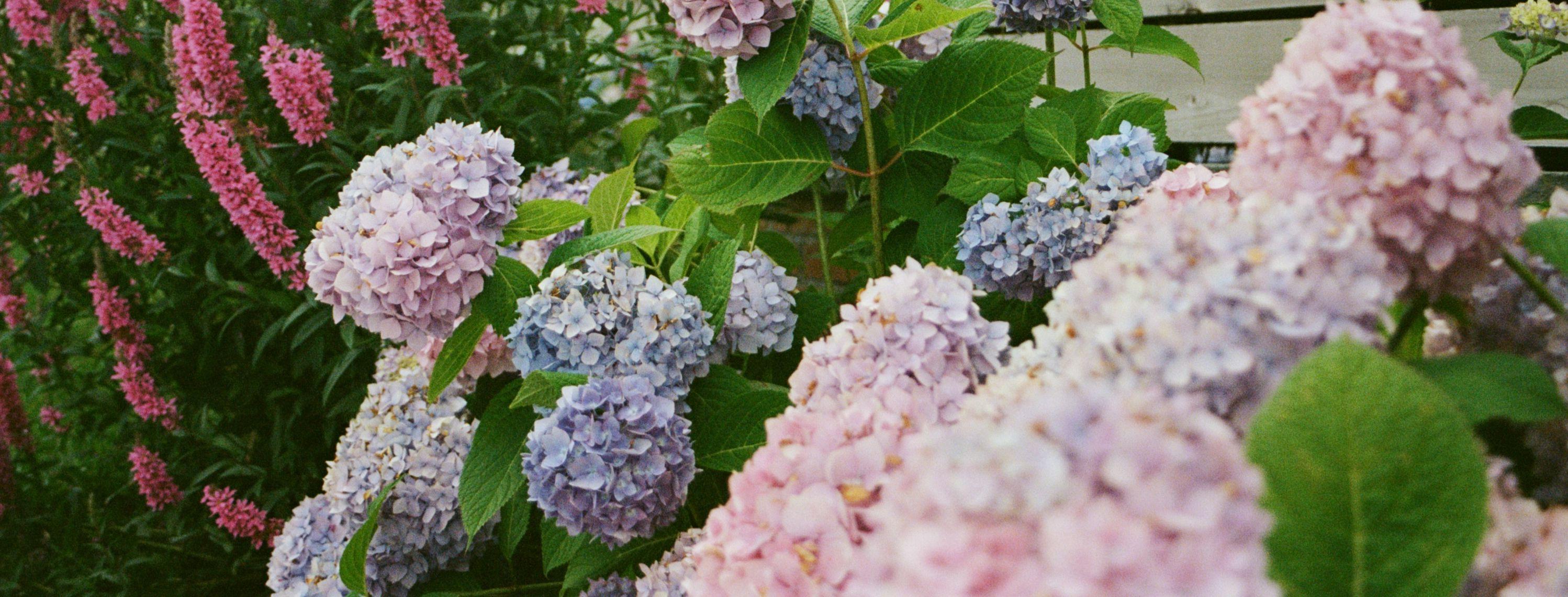 d6625628-4e55-43fa-bcb8-d7c0cc1f1496