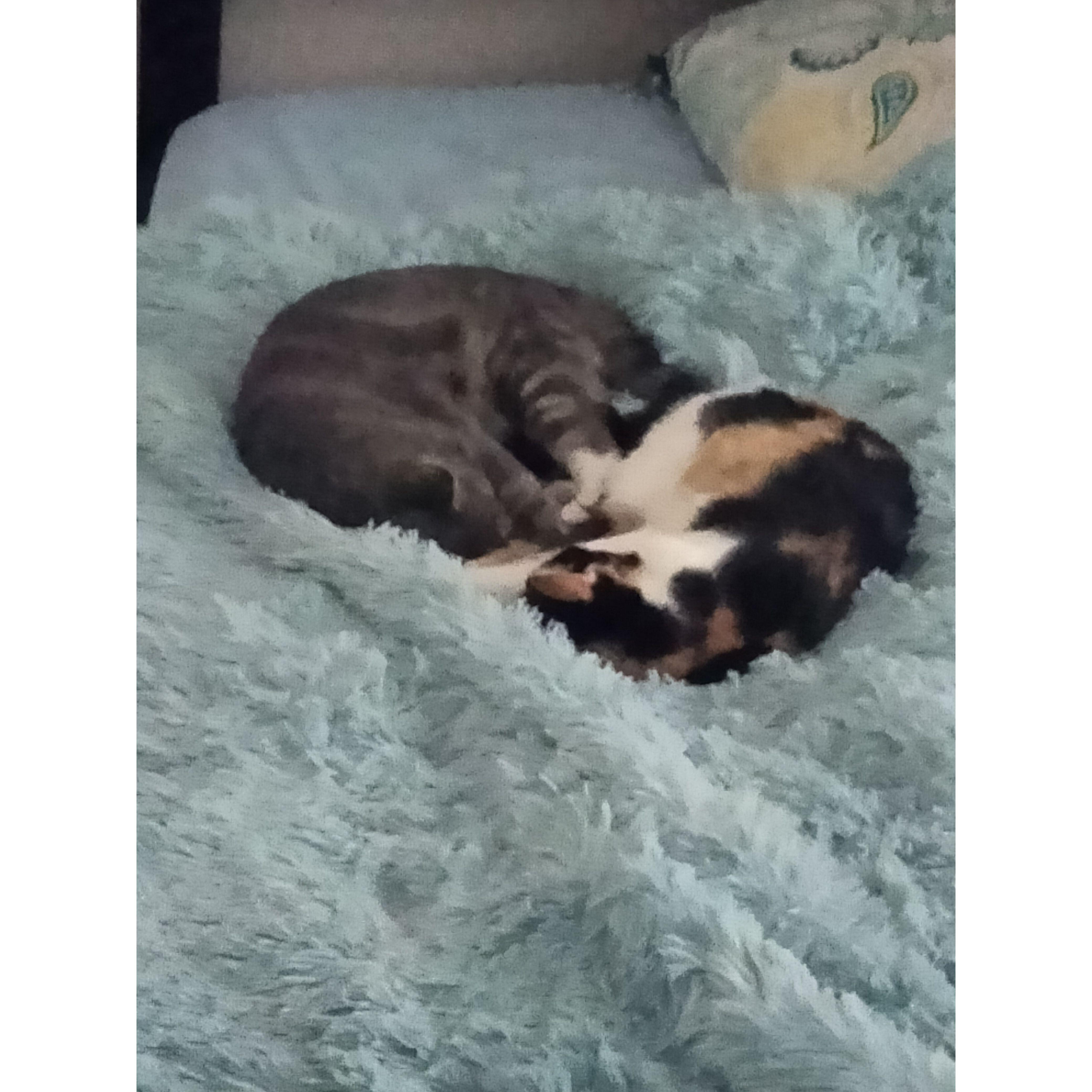 Our Kids