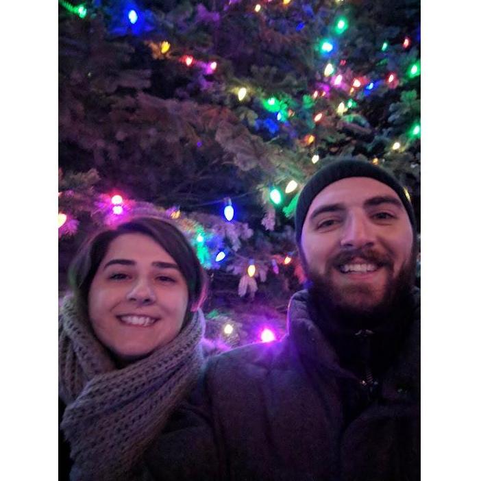 Lincoln Park Zoo Lights