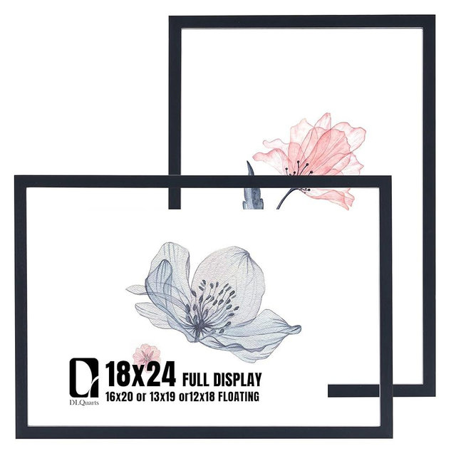 DLQuarts 18x24 Floating Picture Frame for 16x20/13x19/12x18/11x14 Photos, 2-Pack Solid Wood Double Plexiglass Wall Art Frames, Any Size Photo up to 18x24 Display, Black