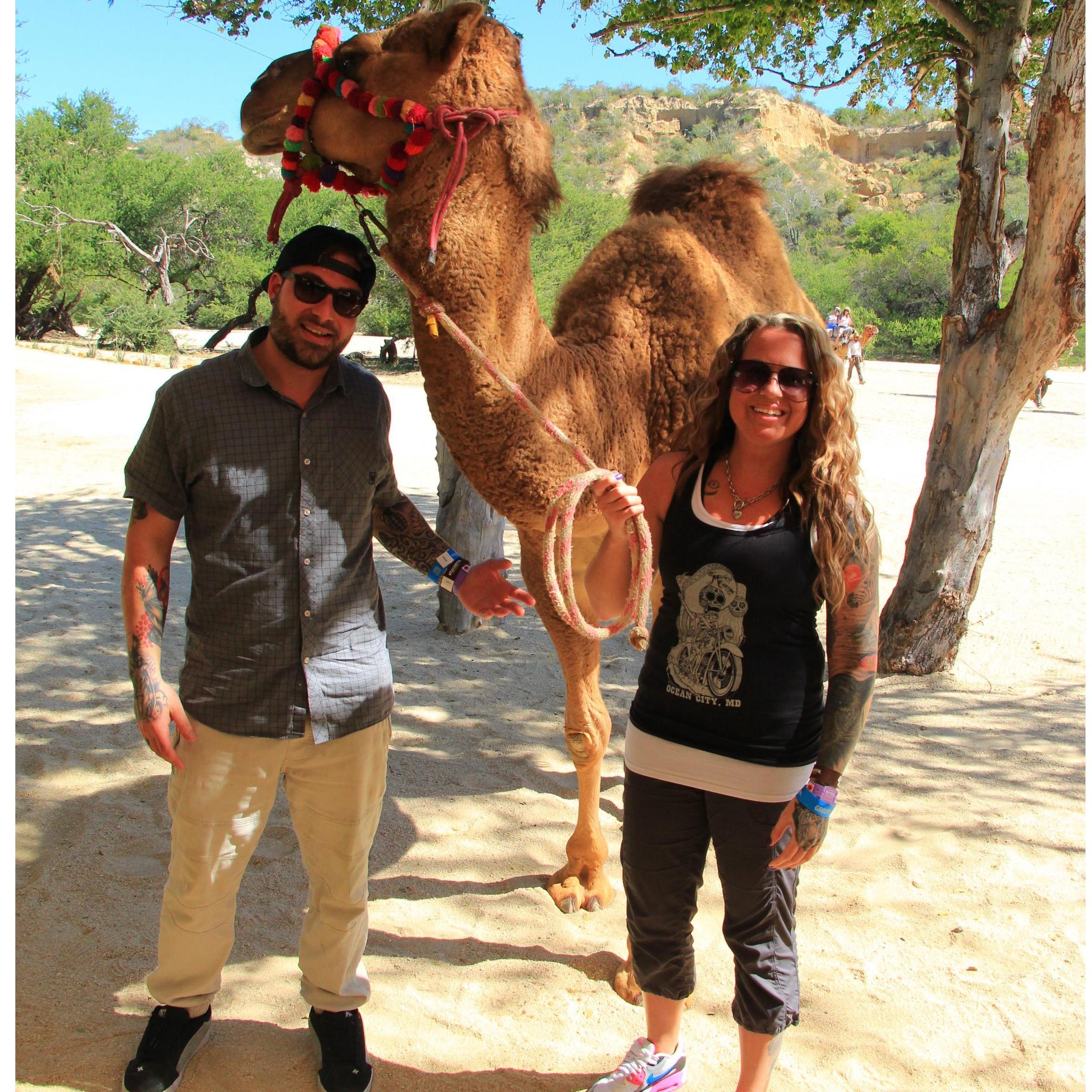Camel ridin' in Cabo