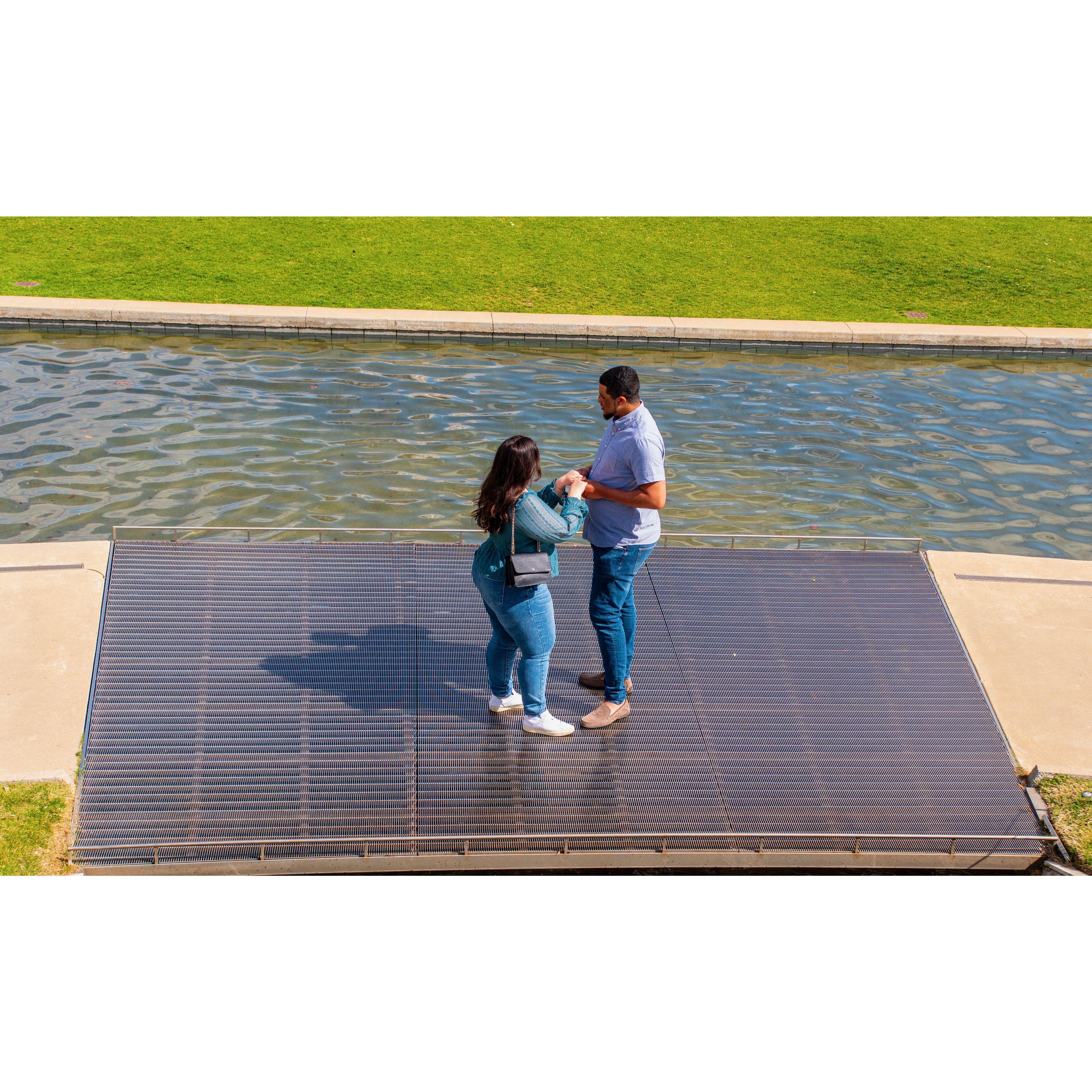 Darien's proposal at the Centennial Gardens