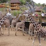Cheyenne Mountain Zoo