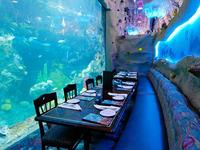 Downtown Aquarium