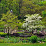 Fernwood Botanical Garden