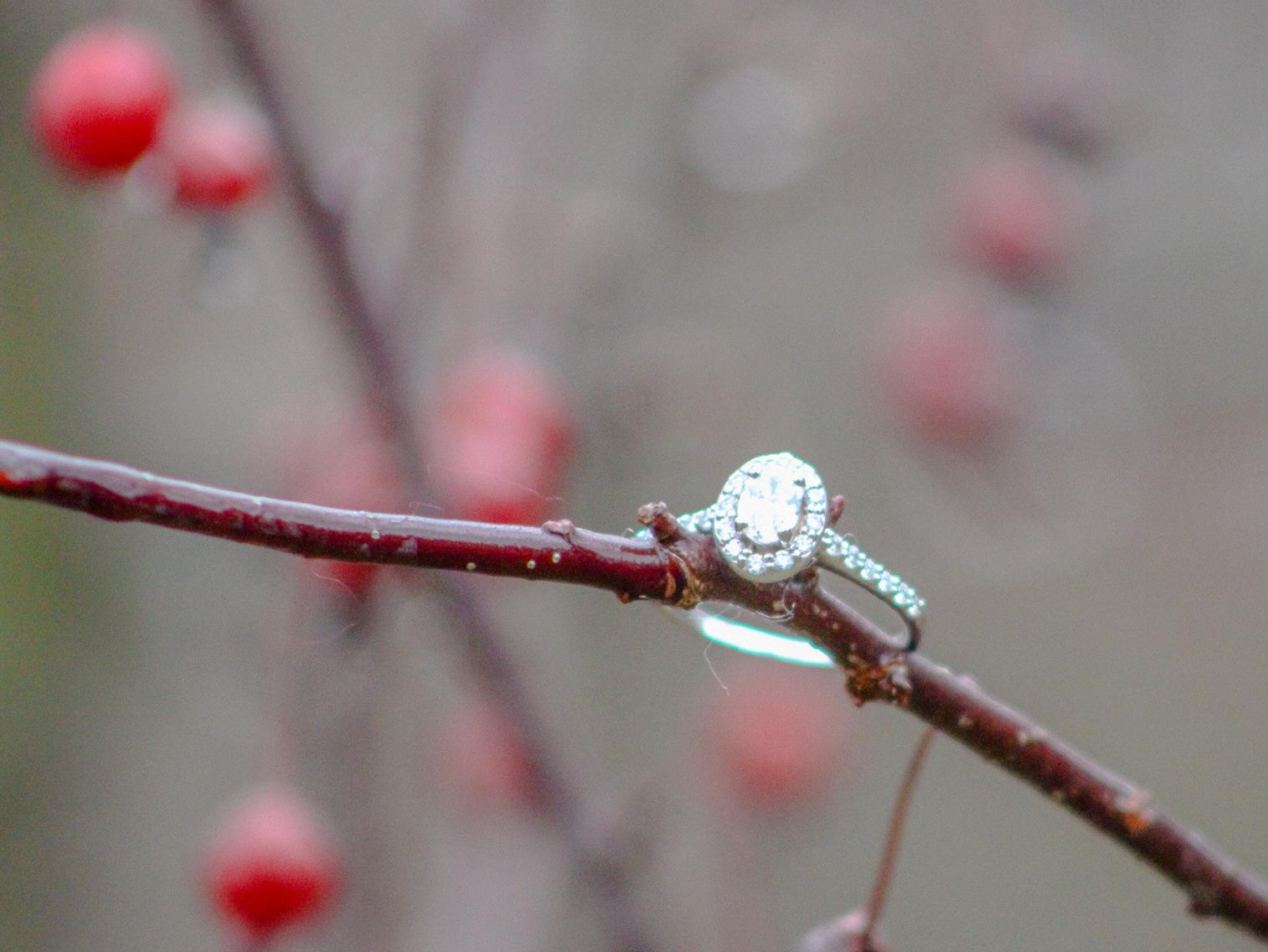 The Wedding Website of Bobbi-Jean Bryden and Eddie Bednarczyk