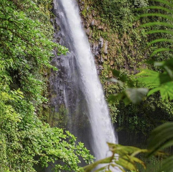 La Fortuna Waterfall Hike & Zipline