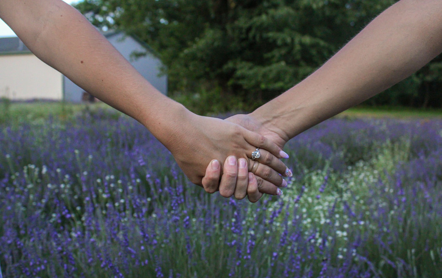 The Wedding Website of Kaitlyn Mullennix and Johnny Rasmusson