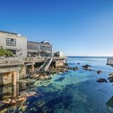 Monterey Bay Aquarium