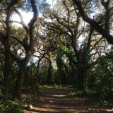 Kendall Indian Hammocks Park
