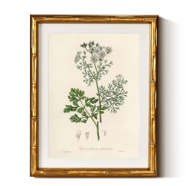 InSimSea Gold Bamboo Framed Canvas Wall Art, Plants Fern Botanical Paintings, Antique Vintage Picture Frame with Mat, Victorian Home Wall Decor for Living Room Kitchen Dining, 11x14inch