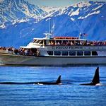 Kenai Fjords National Park