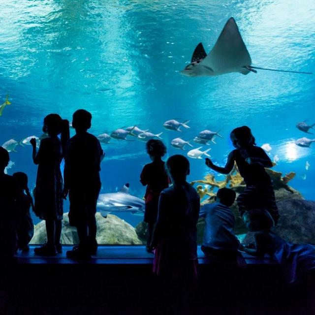Aquarium / Zoo Membership