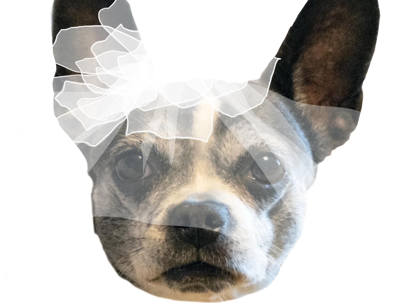 The Wedding Website of Maggie Gala and Andrew Erichsen