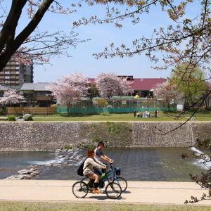 Bike tour in Kyoto