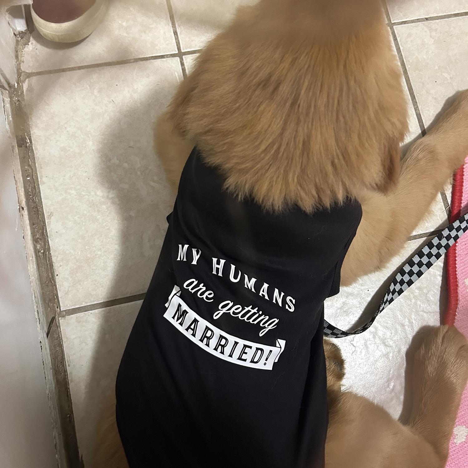 Finn with his first wedding shirt!