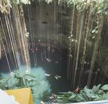 Sacred Cenote