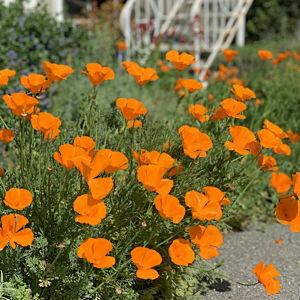 Garden Fund