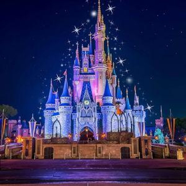 Disney Honeymoon fund