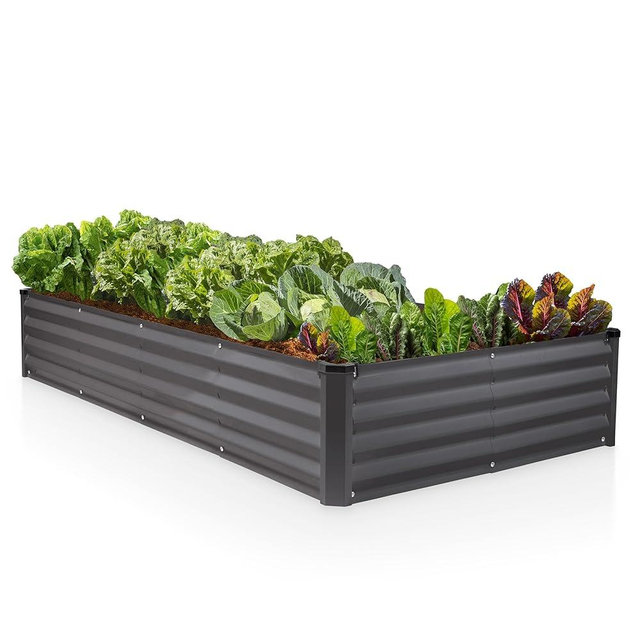 Plant & Plot Galvanized Raised Garden Beds Outdoor // 8×4×1 ft Planter Raised Beds for Gardening, Vegetables, Flowers // Large Metal Garden Box // Patented Tool-Free Design (Dark Gray)