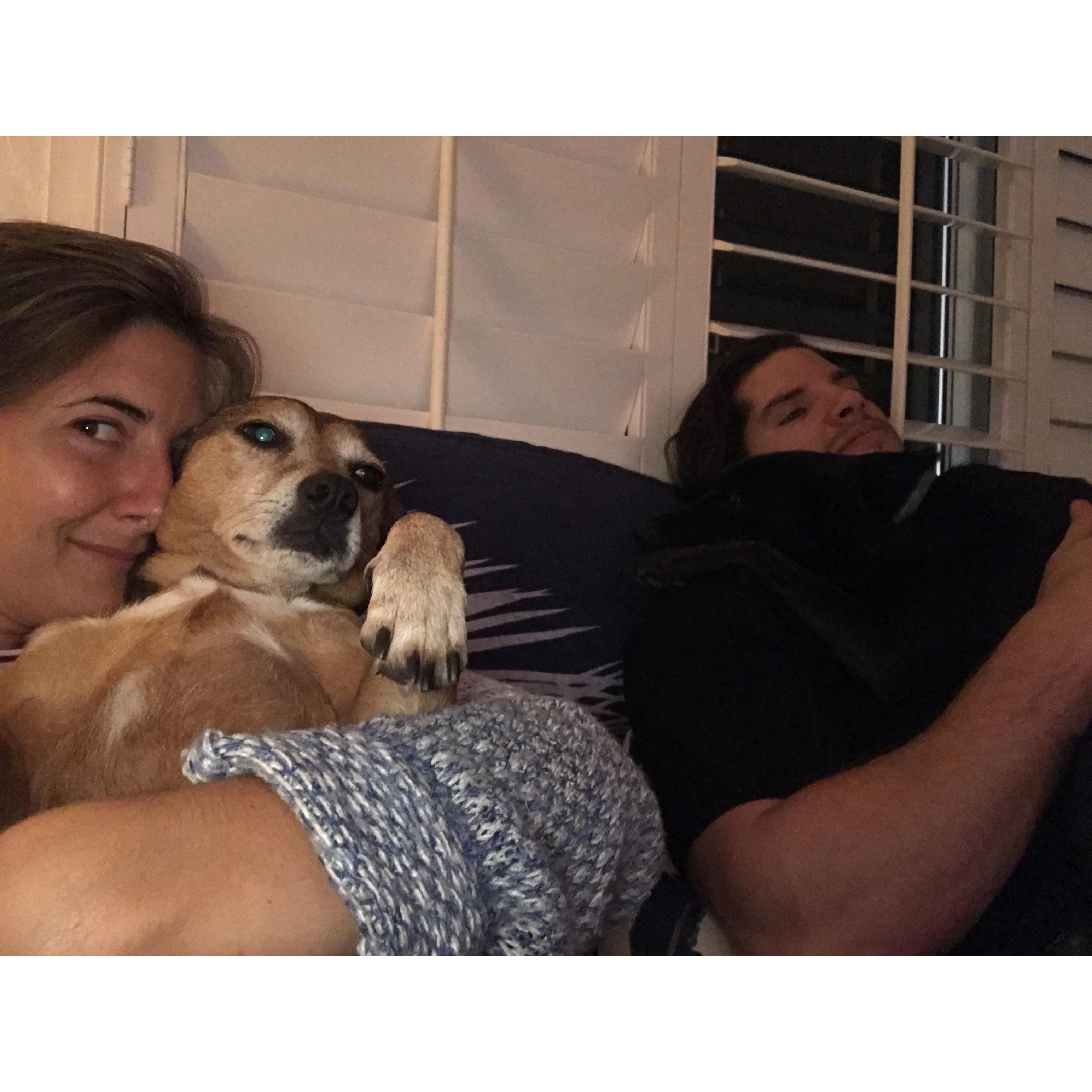 Our furry babies ....