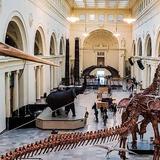 Field Museum