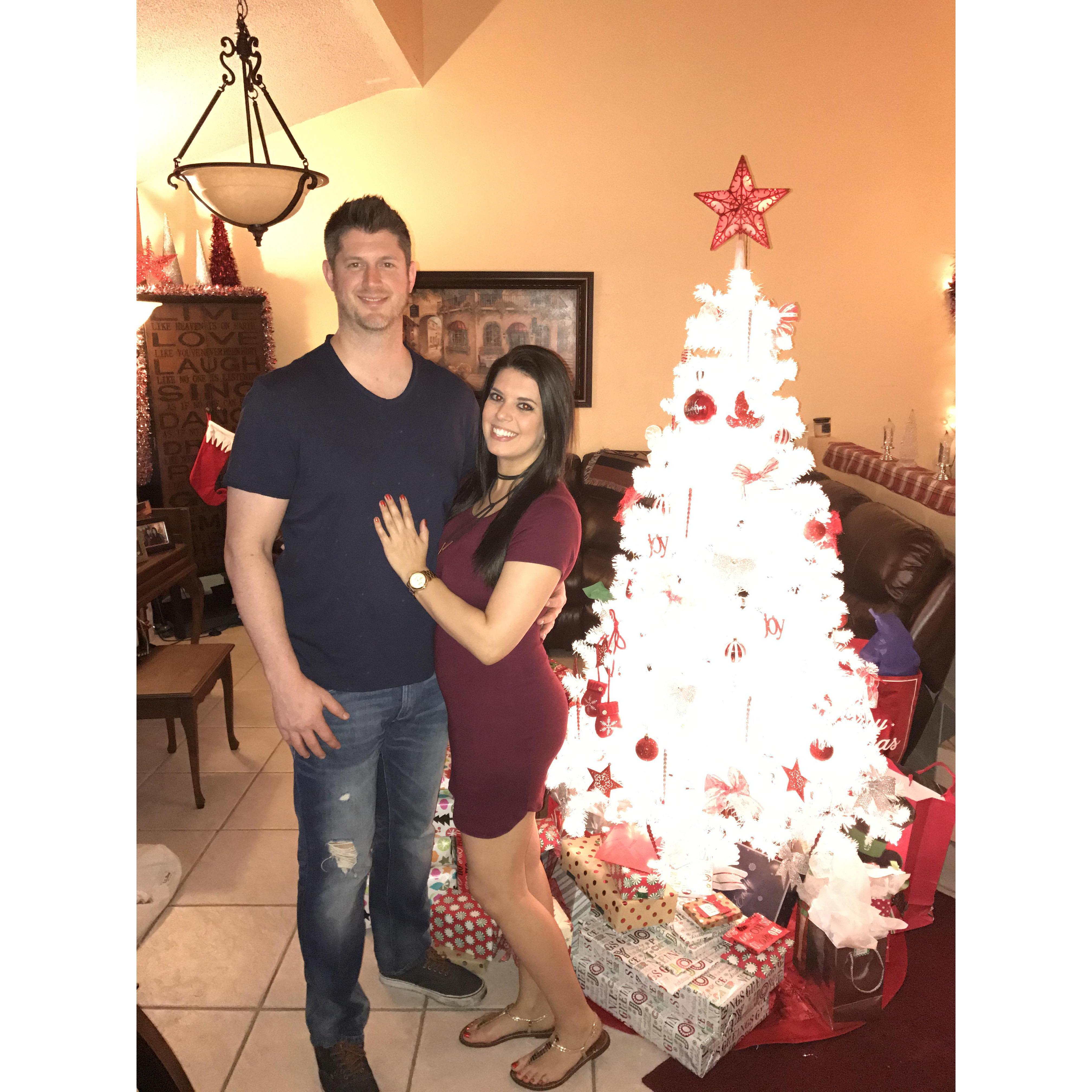 Christmastime in Davie