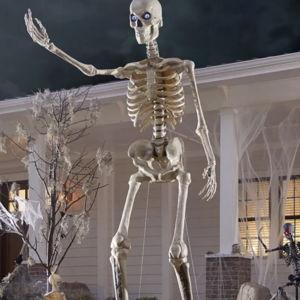 12-ft Skeleton Fund