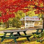 Apple Hill