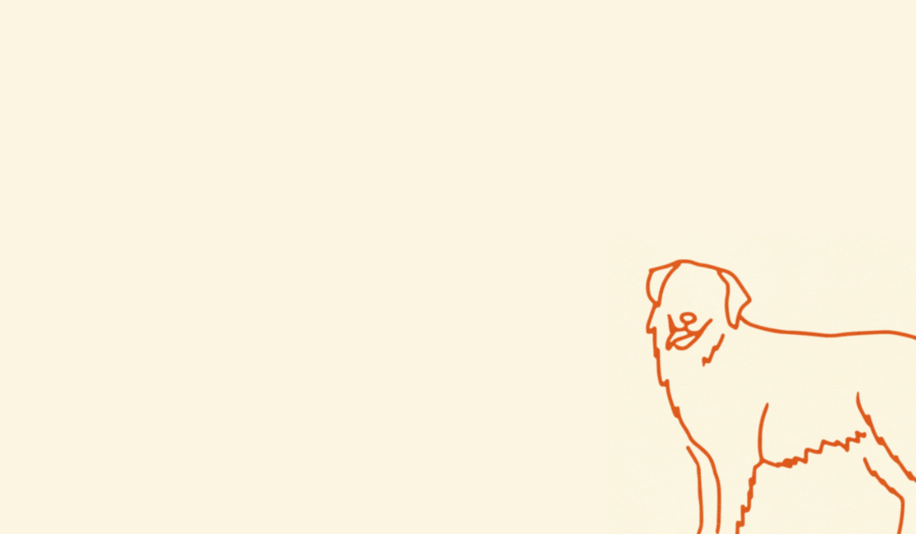 Footer image