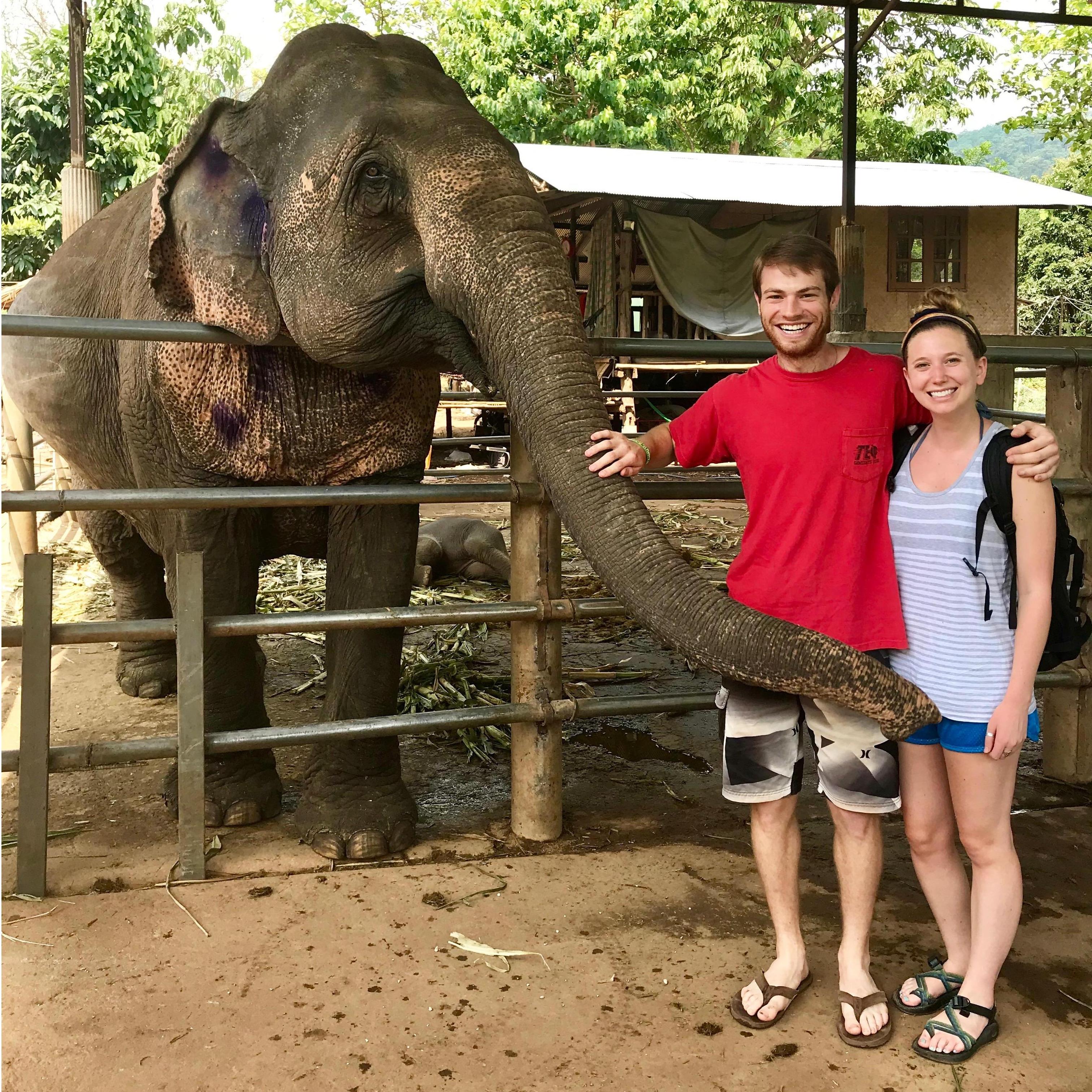 playing with the elephants in Thailand!