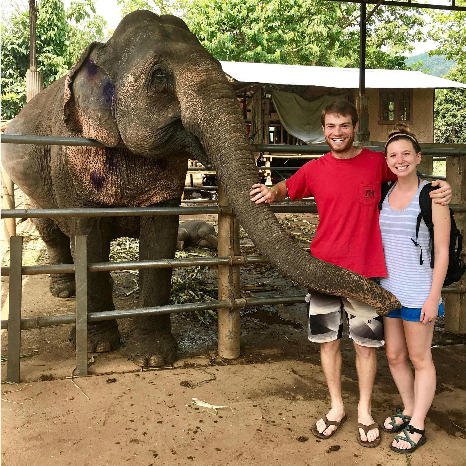 playing with the elephants in Thailand!