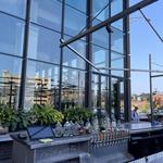 Bayberry Garden