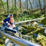 Wilderness Run Alpine Coaster