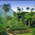Jardim Botânico