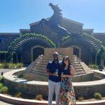 Black Stallion Winery