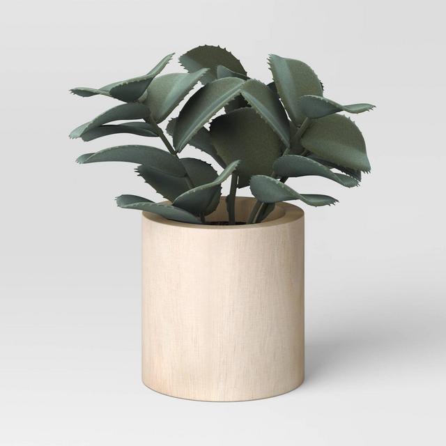 Jade Plant on Wood Pot Gray - Threshold™