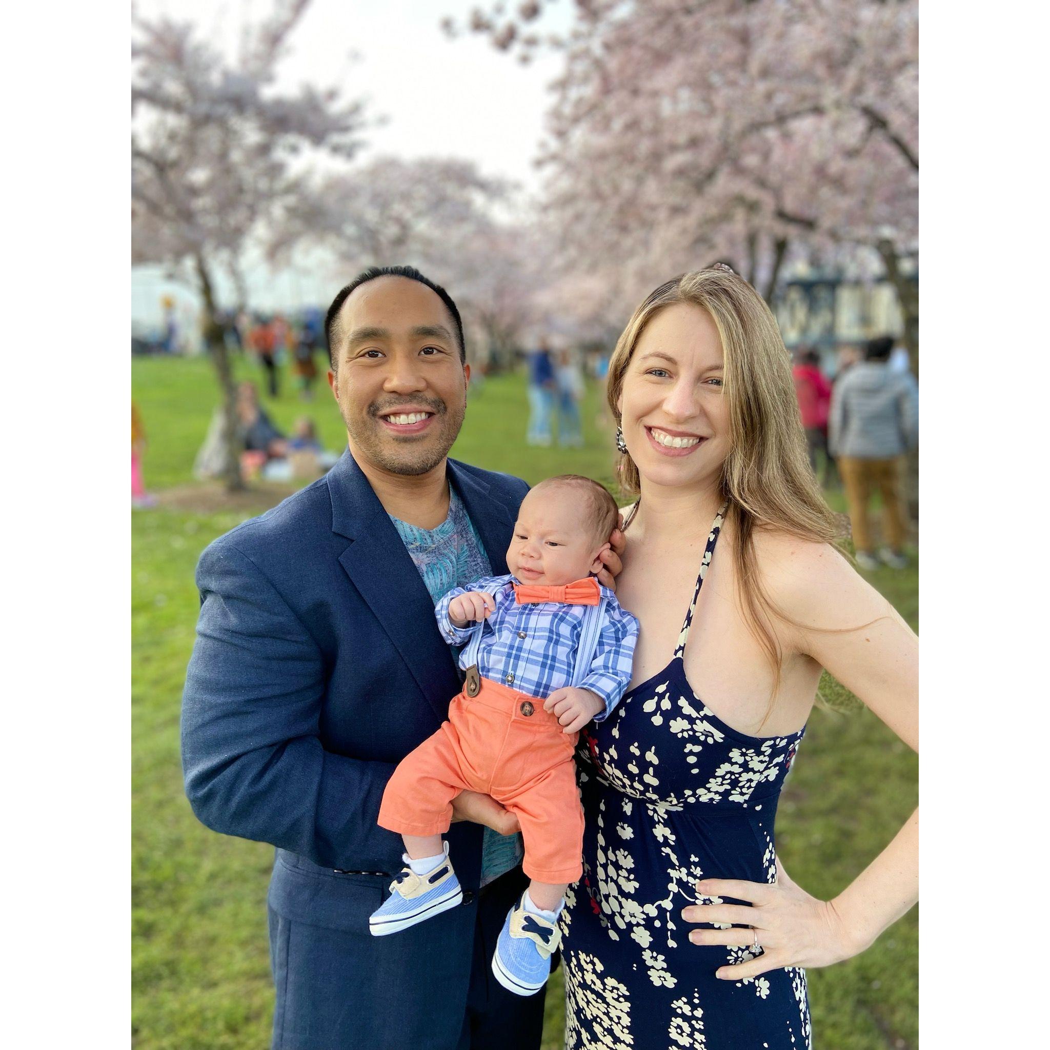 Cherry Blossoms Portland Oregon, 2022