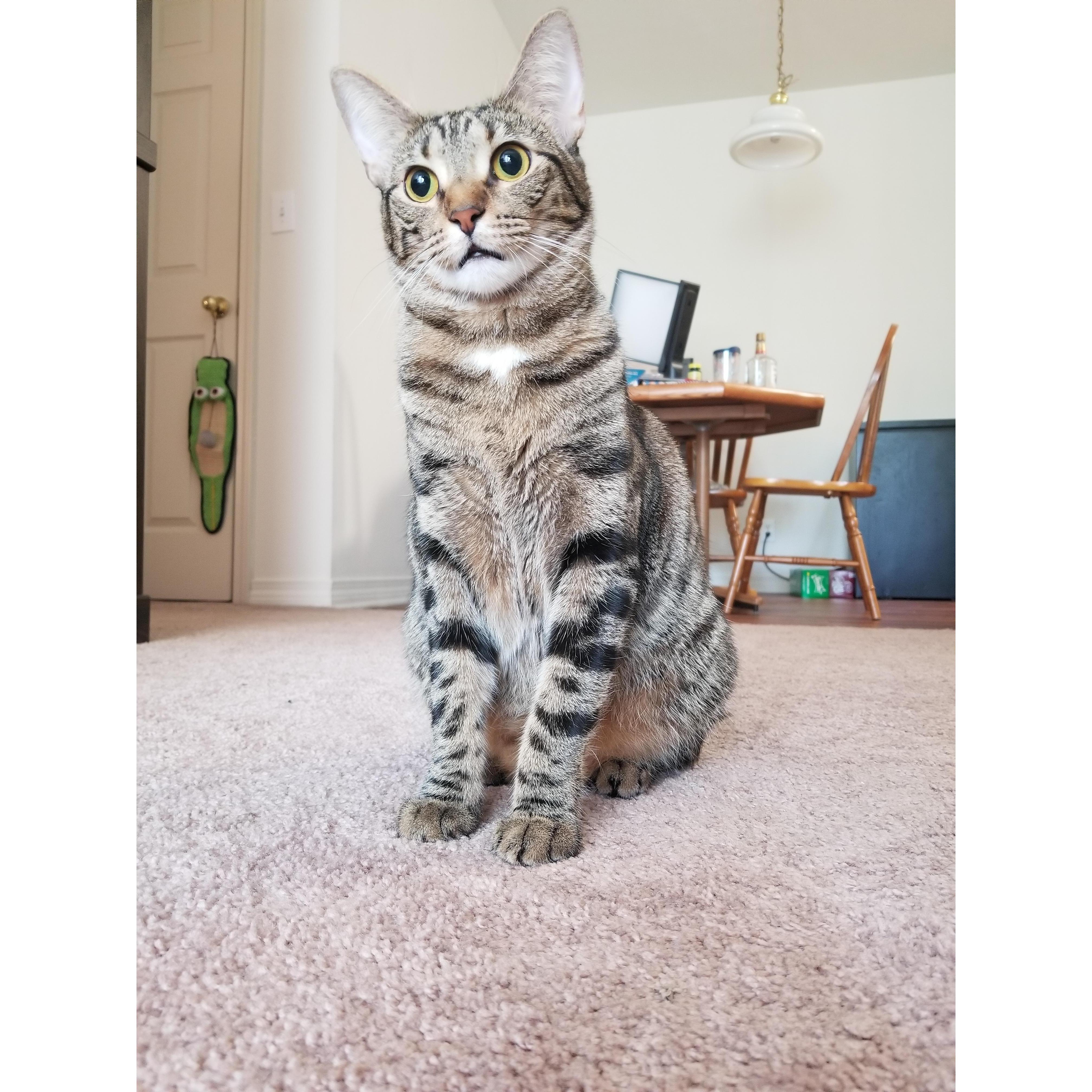 Kiwi needs some props for putting up with us for the last couple of years. It's made her a little crazy.