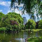 Boston Commons
