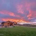Point Lookout Vineyards