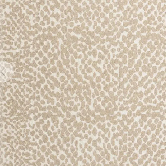 Rugs.com 10x14