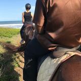 Horse Riding