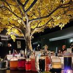 The Cottonwood Room | Midtown Recommendation