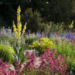 Denver Botanic Gardens